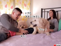 ボクのママンに手を出すな！夫が妻を触ろうとすると断固阻止する犬