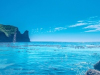 思いっきり飛び込みたすぎ！　千葉・小浦海岸の夏の始まりが清々しくて最高です