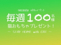 株式会社Funseekのプレスリリース画像