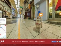 「広島CAT STREET VIEW」（広島県プレスリリースより）