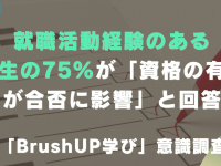 株式会社パセリホールディングスのプレスリリース画像