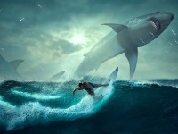 幻の白き巨頭。あの白クジラが今年もまたその神々しい姿を現した（オーストラリア）