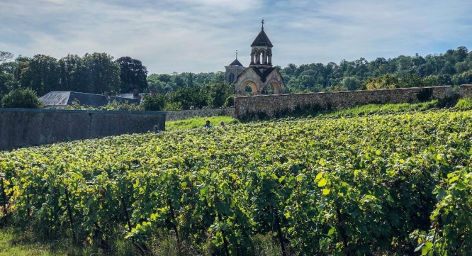 株式会社モトックスのプレスリリース画像