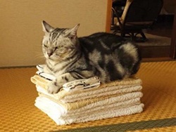 その気がなくても「お手伝いします」が鉄則！　彼ママの心をつかむマナーまとめ