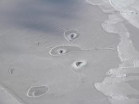 NASAも首をかしげる。北極の海氷にぽっかりと開いた謎の穴（北極）