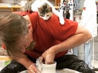 猫師匠、陶芸をする男性の肩に張り付いて熱心指導？猫を乗せたまま作品作りに没頭する男性もすごい！