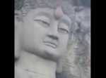 仏様の顔にニキビ！？　絶妙な場所にハチの巣が出来てしまった…。
