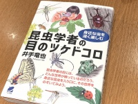 『昆虫学者の目のツケドコロ』（井出竜也著、ベレ出版刊）