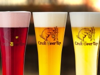 世界のクラフトビールを50種類以上集めたビアレストラン「Craft Beer Tap」ヨドバシAKIBA店 10月2日オープン