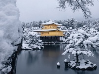モノクロ世界に佇む〝金一点〟に4.8万人感動　雪の中の金閣寺が「絶景」「まるで日本画みたい」