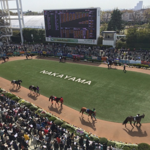 中山競馬場と縁が深い鎌ケ谷スタジアムで登板決定!!