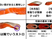 プロ直伝「鮭を買う時に役立つ豆知識4選」に12万人歓声　覚えて今夜はサーモンナイトだ！