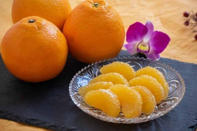 体にも、縁起にも良い食べ物（画像はイメージ）
