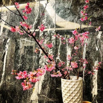 インスタグラム：浜崎あゆみ(@a.you)より