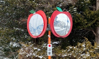 さすが弘前　日本一の「りんごの街」のカーブミラーに注目集まる「りんご好きには堪らない」