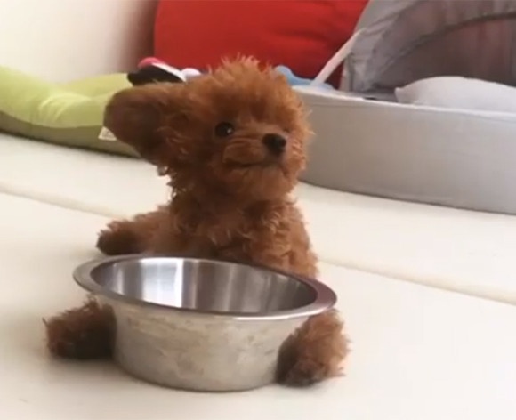 スクリーンショット-(670)