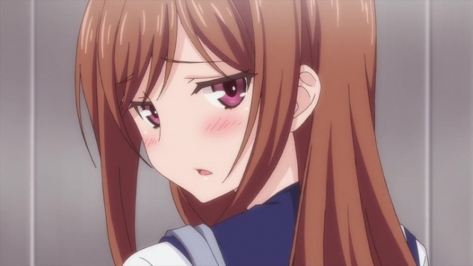 株式会社ウェイブのプレスリリース画像