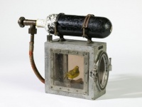 かつてカナリアは毒ガス検知器として使用されていた