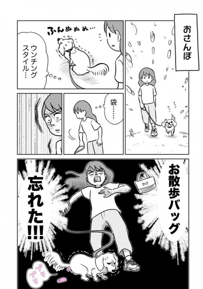 画像はゆむい＠yumuihpaさんの投稿より