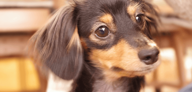 「Doctors Me（ドクターズミー）」コラム画像