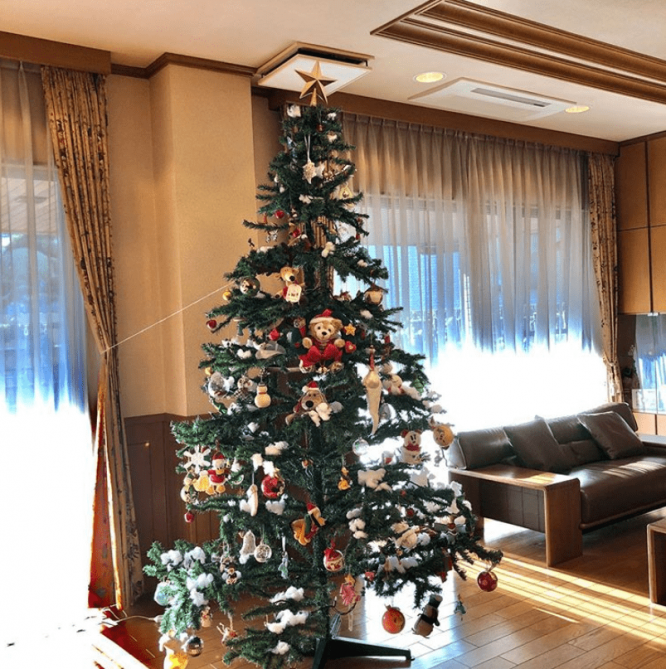 ※画像はぺこのインスタグラムアカウント『＠pecotecooo』より