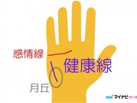 手相にあると不健康!?　「健康線」の見方