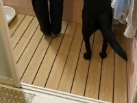 「犬は飼い主に似る説」証明する1枚、激写される　浴室での〝後ろ姿〟に4.6万人もん絶「種族超えた家族」