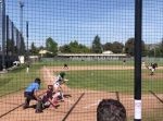 痛いっ…！　野球の試合で、打ったボールがハトに直撃してしまう。