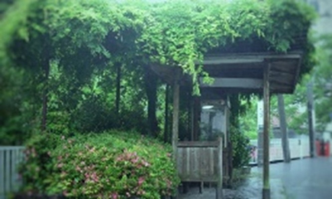 「旅先で突然の大雨に見舞われた私。立ち寄った寺の職員に傘はないか尋ねると『売ってないけど...』」（東京都・40代女性）