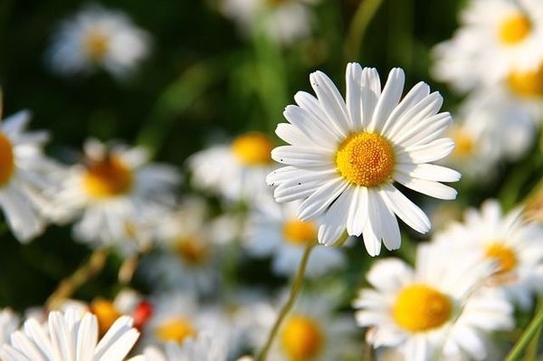 これで後味バッチリ！同僚との衝突を上手く治める5ステップ