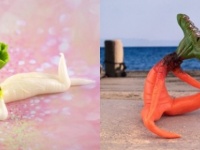 絶望と混沌とセクシー。ニンジンやダイコンを擬人化させてポージングさせた野菜フィギュアが販売中！
