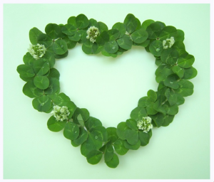 sdgrethttttキャプチャ