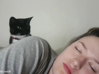 やさしい肉球の使い方。毎朝飼い主を起こすときの猫のソフトタッチがかわいらしい