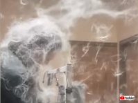 室内なのに大雪注意報かな。ハスキーの毛を乾かす途中の出来事でした。