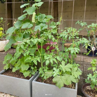 インスタグラム：工藤静香(@kudo_shizuka)より