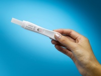 あばれる君　6月には父親。夫人の妊娠を発表