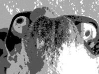 犬の口に目玉をくわえさせてみたら未知との遭遇
