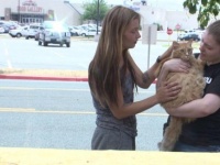 火事に巻き込まれ取り残された猫、4日後に飼い主と奇跡の再会（アメリカ）