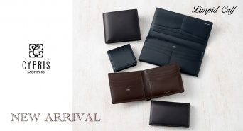 株式会社モルフォのプレスリリース画像