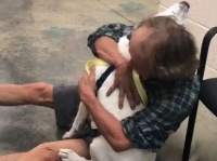 ある日突然姿を消したホームレス男性の愛犬。必死の捜索の末に再会、犬は男性の腕の中に飛び込んだ（アメリカ）