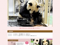 公式特設サイト