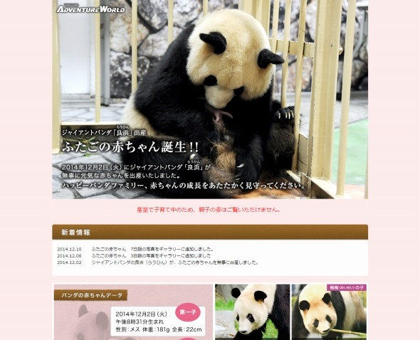 公式特設サイト