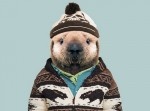 動物の赤ちゃんに似合う服をスタイリングしてみた！