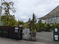 【道の駅 川口・あんぎょう】緑の上に広がる癒し空間でランチを。「アンジー（ANDG）」で味わう、やさしい日替わりごはん