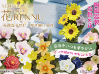 セトクラフト株式会社のプレスリリース画像