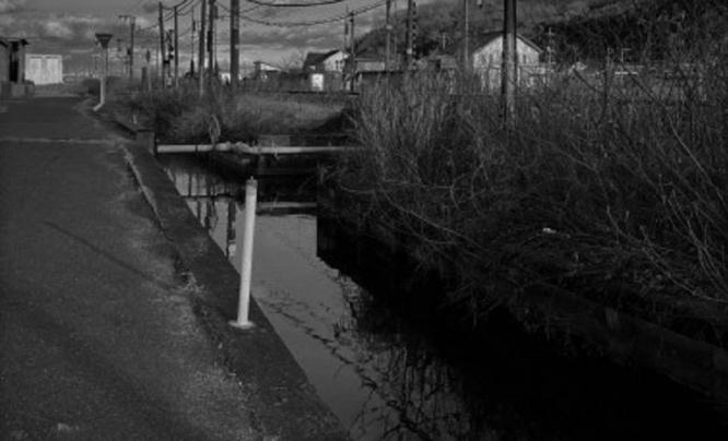 「暗闇の中、全身びしょ濡れで川を見つめる女子高生の私。派手なネオン付きの車が、背後にバックで戻ってきて...」（広島県・30代女性）