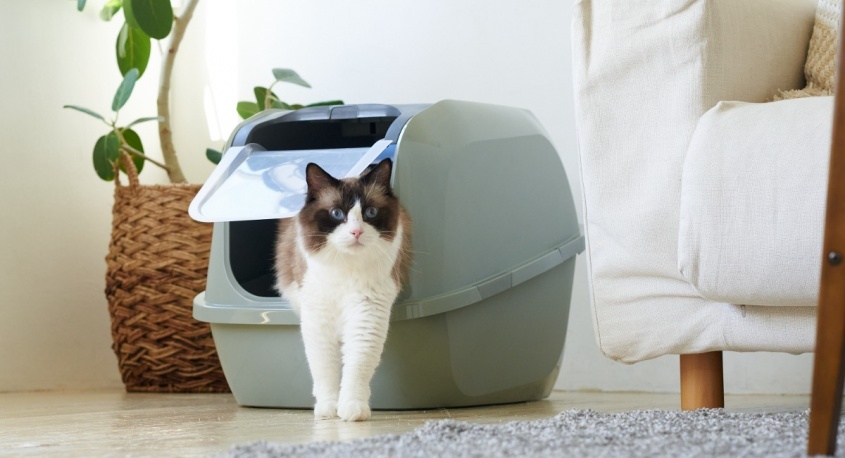 株式会社オーエフティーのプレスリリース画像