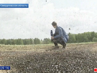 ザ・フライ。アポカリプス的終末の光景。ハエの大群が襲来したロシアの村（※ハエ大量出演中）