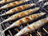サンマ食べるぞ～