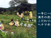 株式会社サクネスのプレスリリース画像
